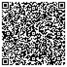 QR code with Badger Press Photographic contacts