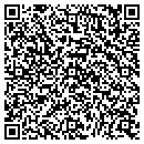 QR code with Public Storage contacts