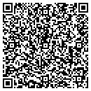 QR code with Cefiore Frozen Yogurt contacts