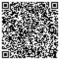 QR code with P Gra contacts