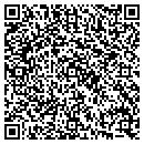 QR code with Public Storage contacts