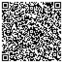 QR code with Public Storage contacts