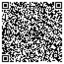QR code with Public Storage contacts