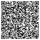 QR code with Play And Display Crafts contacts