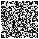 QR code with Premiere Self Storage contacts