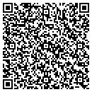 QR code with Public Storage contacts