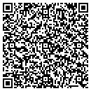 QR code with Public Storage contacts