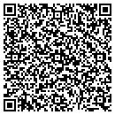 QR code with Public Storage contacts