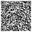QR code with Public Storage contacts