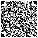 QR code with Public Storage contacts