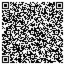 QR code with Public Storage contacts