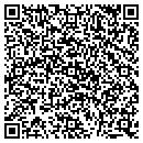 QR code with Public Storage contacts