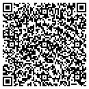 QR code with Public Storage contacts
