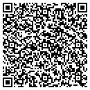 QR code with Public Storage contacts