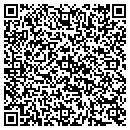 QR code with Public Storage contacts