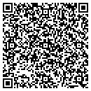 QR code with Public Storage contacts