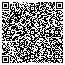 QR code with Cedaredge Mini Storage contacts