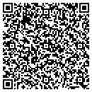 QR code with Public Storage contacts
