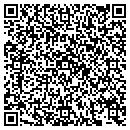 QR code with Public Storage contacts