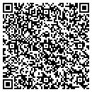 QR code with Public Storage contacts