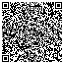 QR code with Public Storage contacts