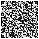 QR code with Public Storage contacts