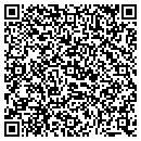 QR code with Public Storage contacts