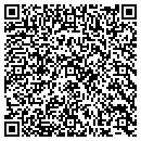 QR code with Public Storage contacts