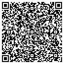 QR code with Public Storage contacts