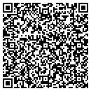 QR code with PSI Environmental contacts