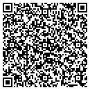 QR code with Public Storage contacts