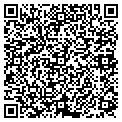 QR code with Digitex contacts