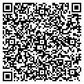 QR code with Pandas contacts