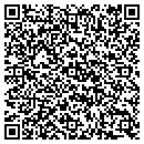 QR code with Public Storage contacts