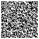 QR code with Public Storage contacts