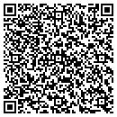 QR code with Public Storage contacts