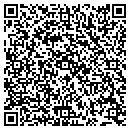 QR code with Public Storage contacts