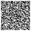 QR code with Public Storage contacts