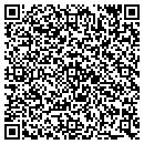 QR code with Public Storage contacts
