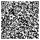 QR code with Public Storage contacts