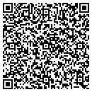 QR code with Public Storage contacts