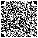 QR code with Public Storage contacts