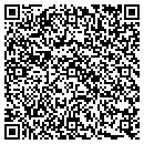 QR code with Public Storage contacts