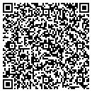 QR code with Public Storage contacts