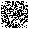 QR code with Lychee contacts