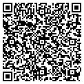 QR code with Arteez contacts