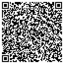 QR code with Public Storage contacts