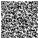 QR code with Public Storage contacts