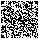 QR code with Public Storage contacts
