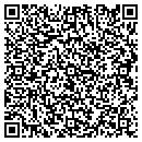 QR code with Ciruli Brothers L L C contacts